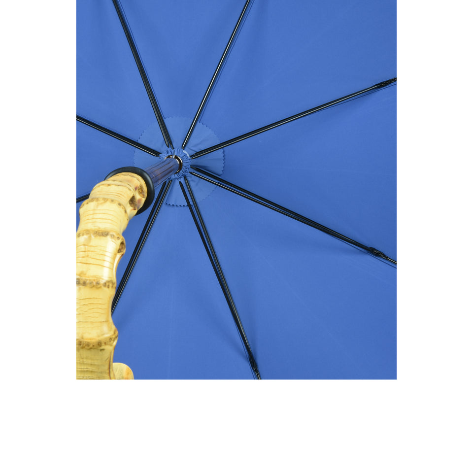 Amidé Hadelin | Whangee umbrella, light blue_canopy